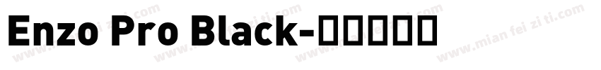 Enzo Pro Black字体转换